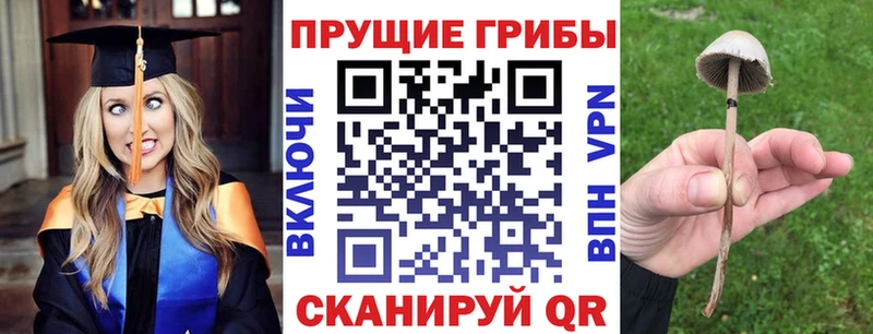 сайты даркнета какой сайт  наркотики  Павловск  Псилоцибиновые грибы ЛСД 